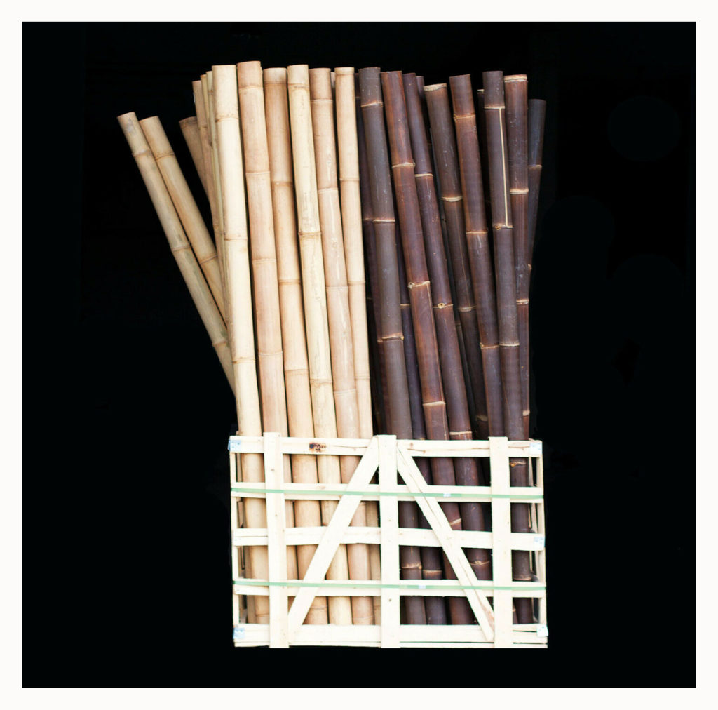 Bambus - Bambusrohre - Bambus-Stangen - Bambus-Stäbe - Bambus Import NRW